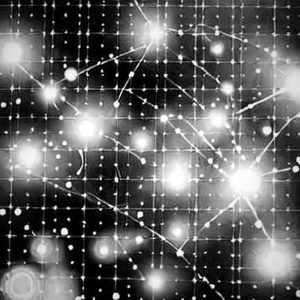 The Macro Disconnect: Why Bitcoin Ignored the CPI Slowdown While AI Stocks Soared