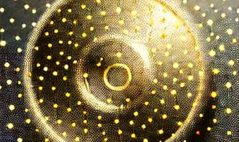 The Information Void: How Shallow Parsing Is Quietly Sinking the Next Wave of Crypto Investors