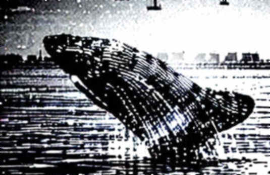 Citigroup's Custody+: A Compliance Bridge, Not a Technological Leap
