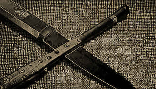 The $1,300 Mirage: Auditing SanDisk's Structural Dependency