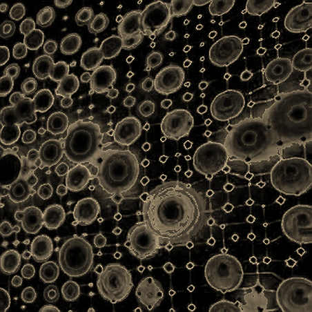 Polymarket's 65% Probability: A Cold Dissection of the Prediction Market's Truth Machine